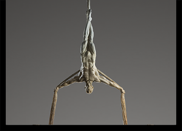 Transcendance by Richard MacDonald