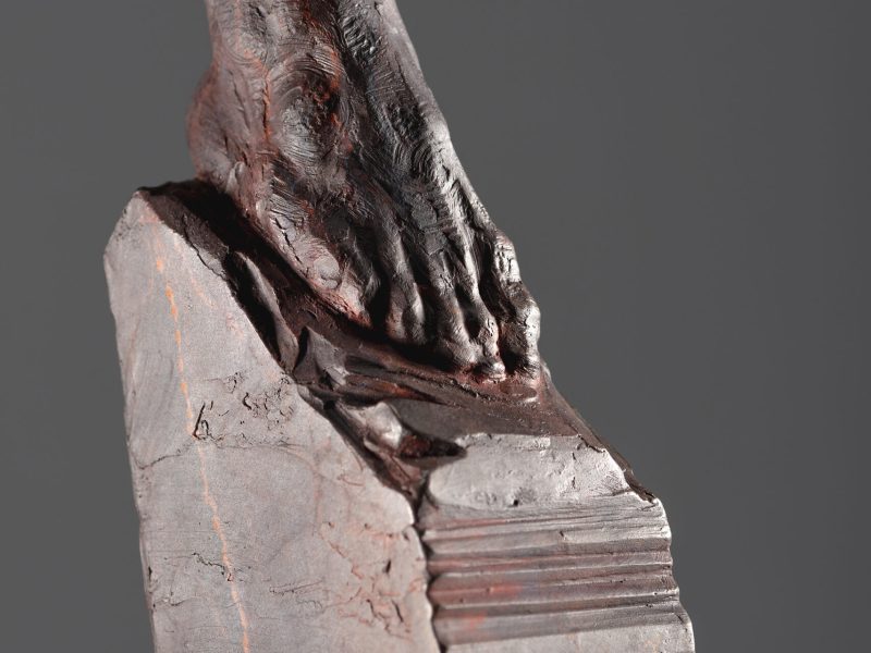 623a5372f1e47e950cf4549f_Richard+MacDonald_Origins_Third+life_CloseUpFeet (1)
